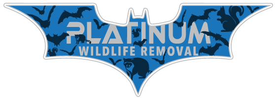 Pulaski County Animal Removal
